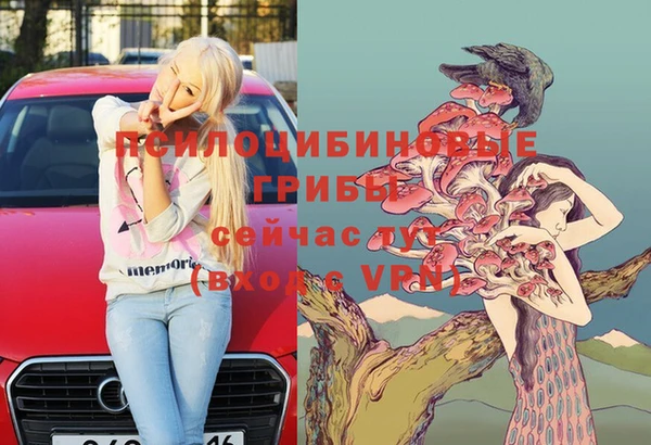 индика Костерёво
